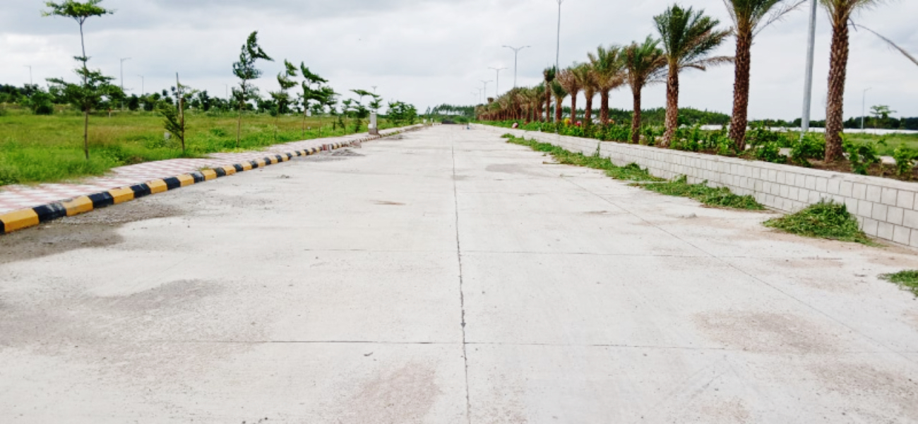 green-avenue-1