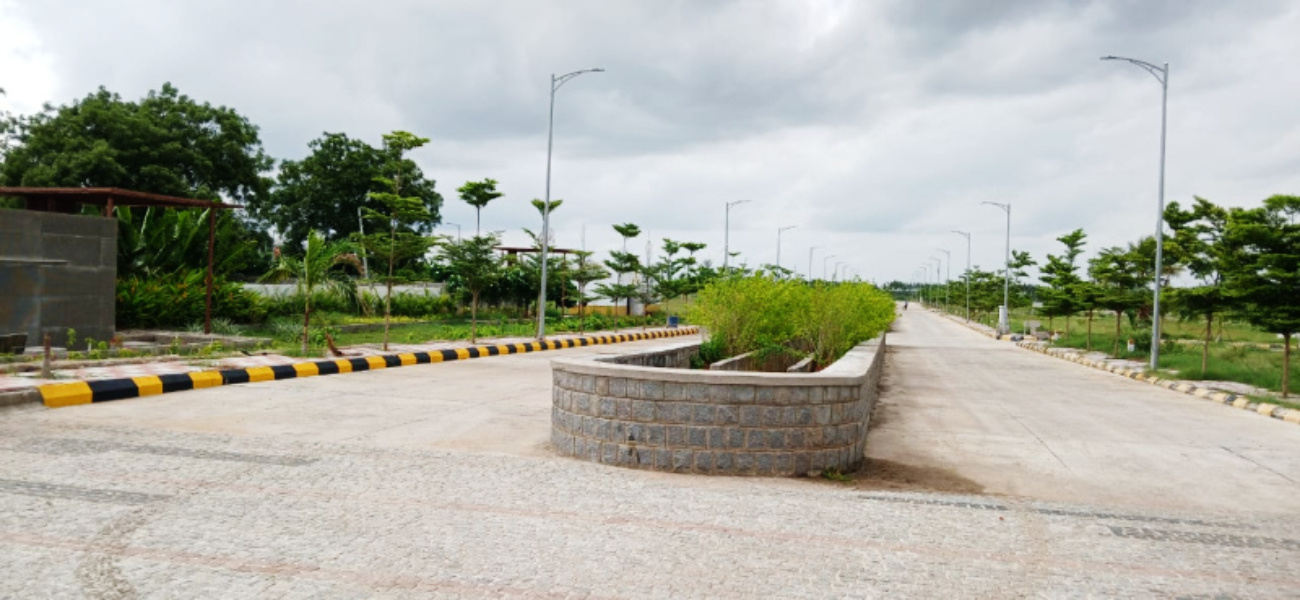 green-avenue-11